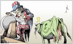 14556584_934583336651438_4195012969926974242_o