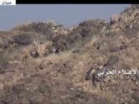 %d8%a7%d9%84%d8%a5%d8%b9%d9%84%d8%a7%d9%85-%d8%a7%d9%84%d8%ad%d8%b1%d8%a8%d9%8a-%d9%8a%d9%88%d8%b2%d8%b9-%d9%85%d8%b4%d8%a7%d9%87%d8%af-%d9%84%d8%aa%d9%85%d8%b4%d9%8a%d8%b7-%d9%85%d9%88%d8%a7%d9%82