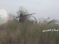 15078832_1093833224068807_6469601430990656674_n