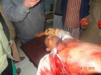 %d8%a7%d8%b3%d8%aa%d9%87%d8%af%d8%a7%d9%81-%d9%86%d8%a7%d9%82%d9%84%d8%aa%d9%8a-%d9%86%d9%81%d8%b7-%d9%88%d9%85%d9%88%d8%a7%d8%af-%d8%ba%d8%b0%d8%a7%d8%a6%d9%8a%d8%a9-%d9%81%d9%8a-%d8%a5%d8%a8-05-240x